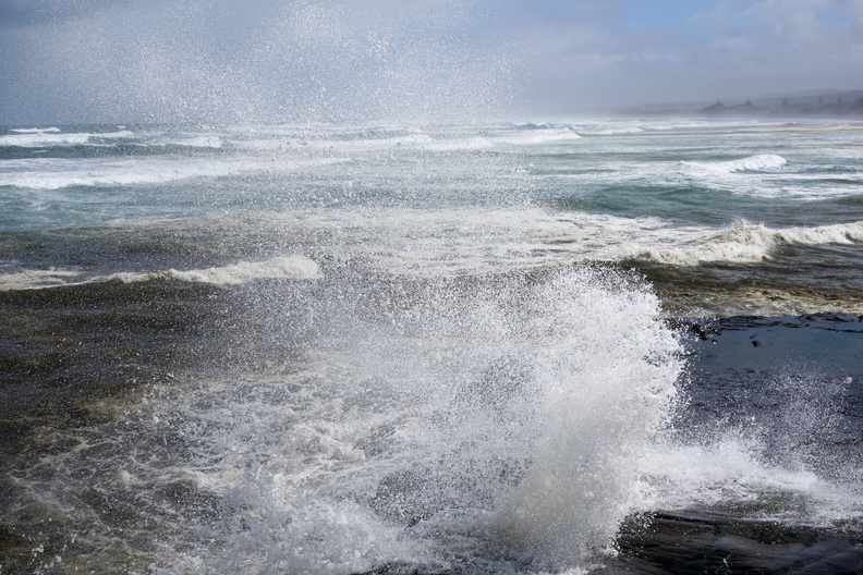 20140928-DSC00869.jpg