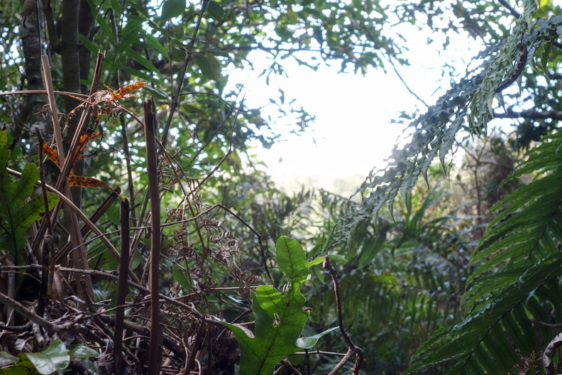 20141014-DSC01091.jpg