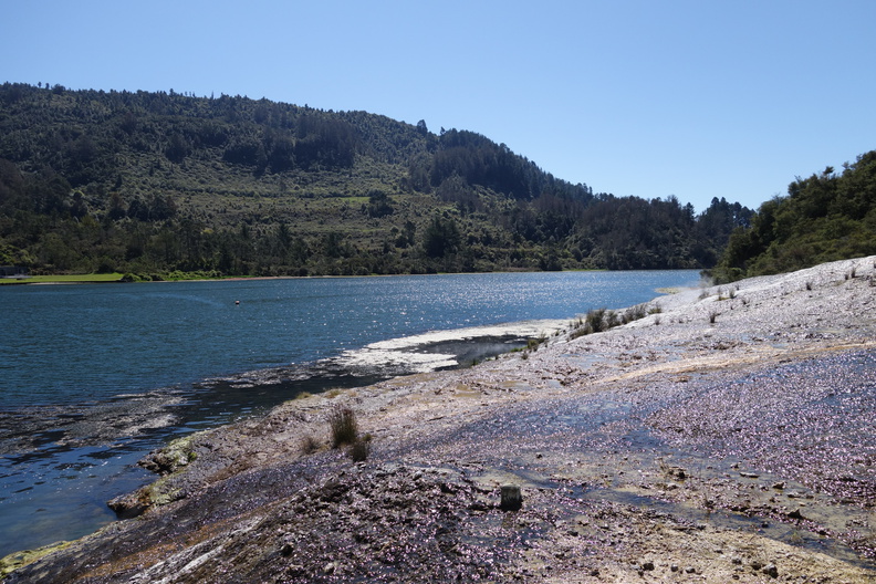 20141015-DSC01138.jpg