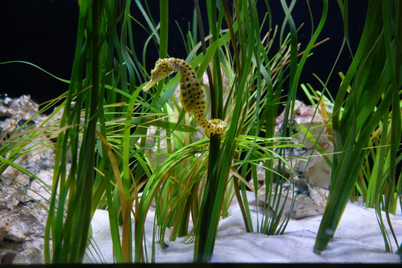 20150207-DSC01978.jpg