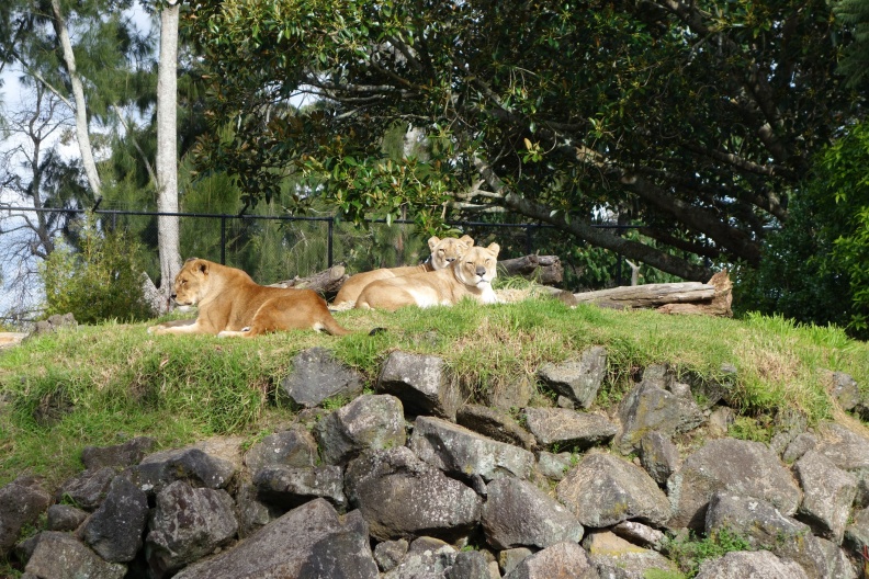 20150725-DSC02318.jpg