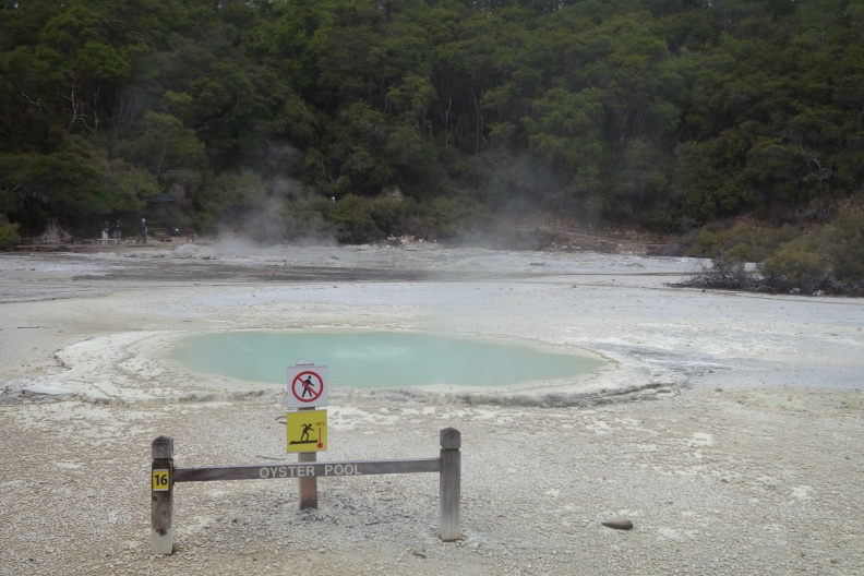 20150818-DSC02776.jpg