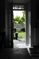 DSC00498