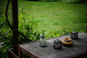 DSC00500