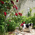 DSC00478.JPG