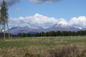 20141012-DSC00988