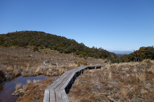 20141013-DSC01038