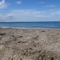 20141019-DSC01317