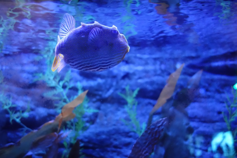 20150207-DSC01970.jpg