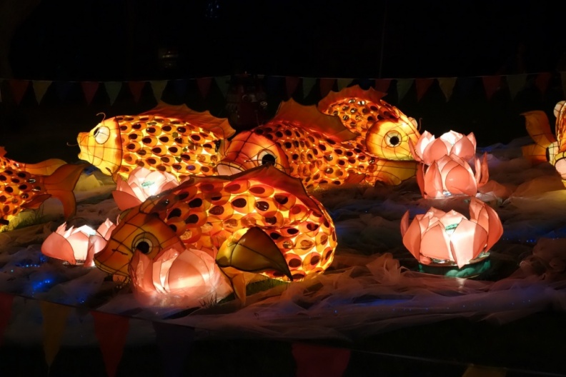 20150227-DSC02070.jpg